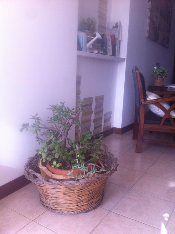 Bed And Breakfast Letterario Fiumicino Exterior photo